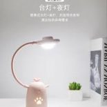 Sleep Chick LED Lamp Pink